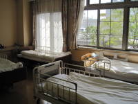 bed
